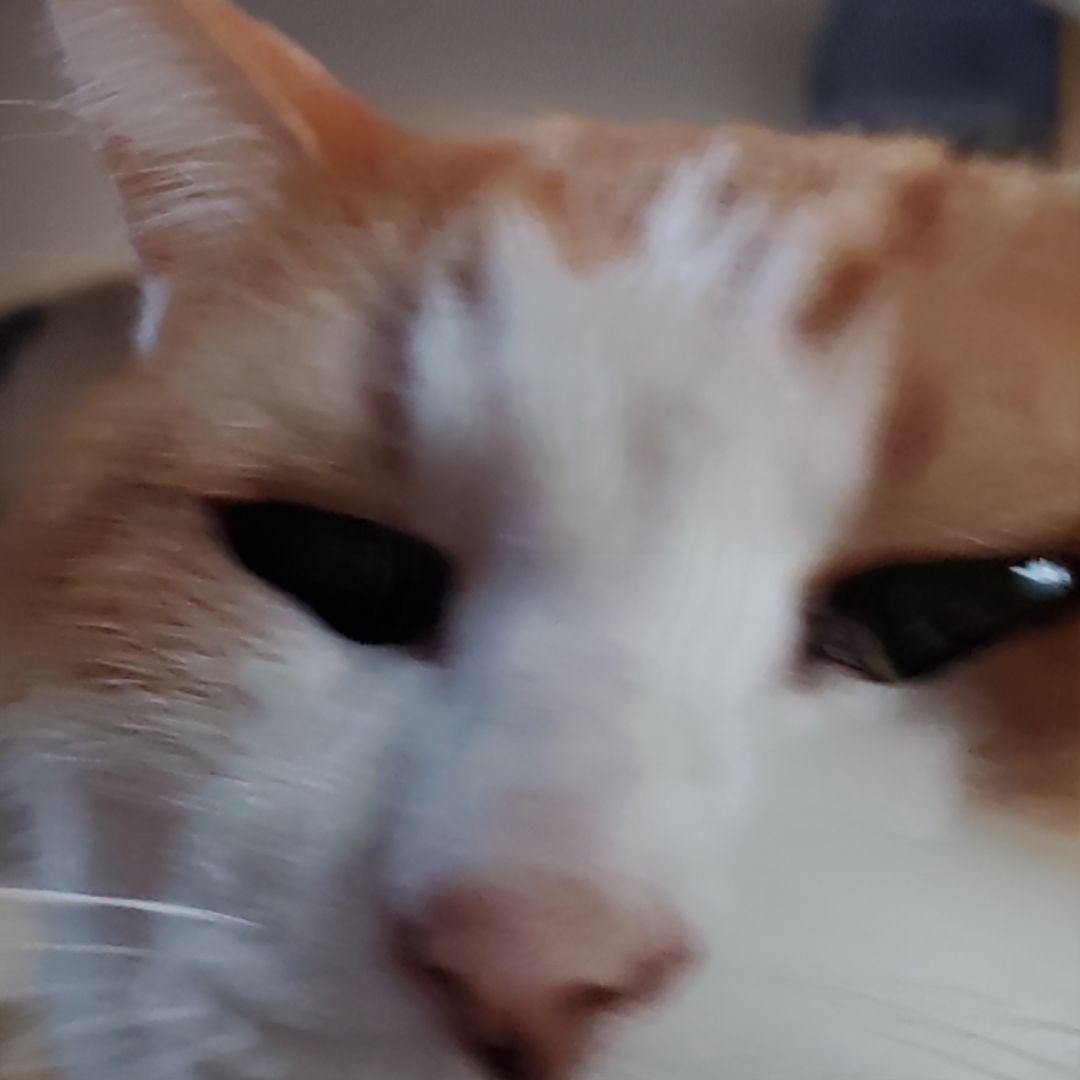 ミミコ