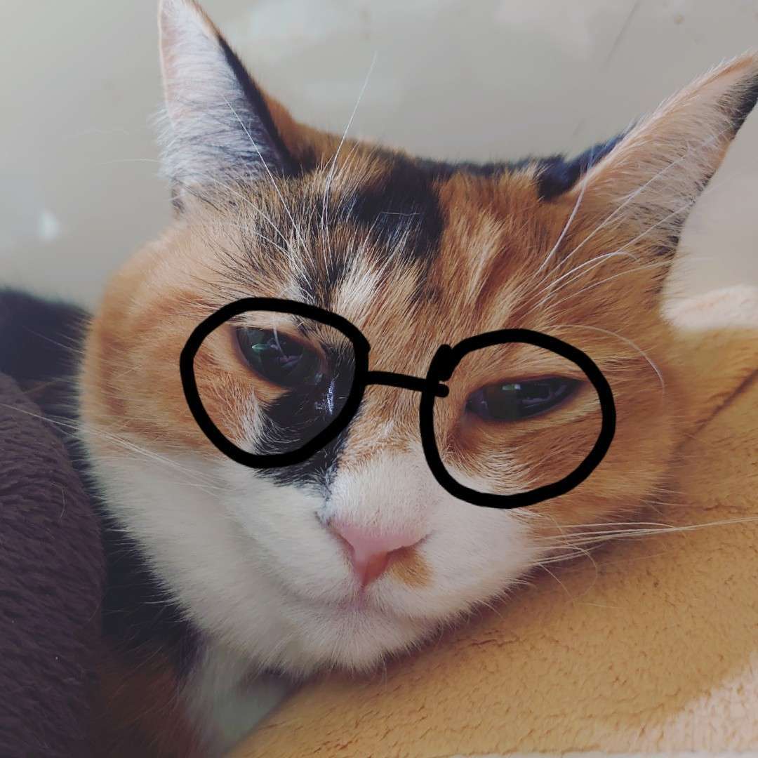三毛猫眼鏡