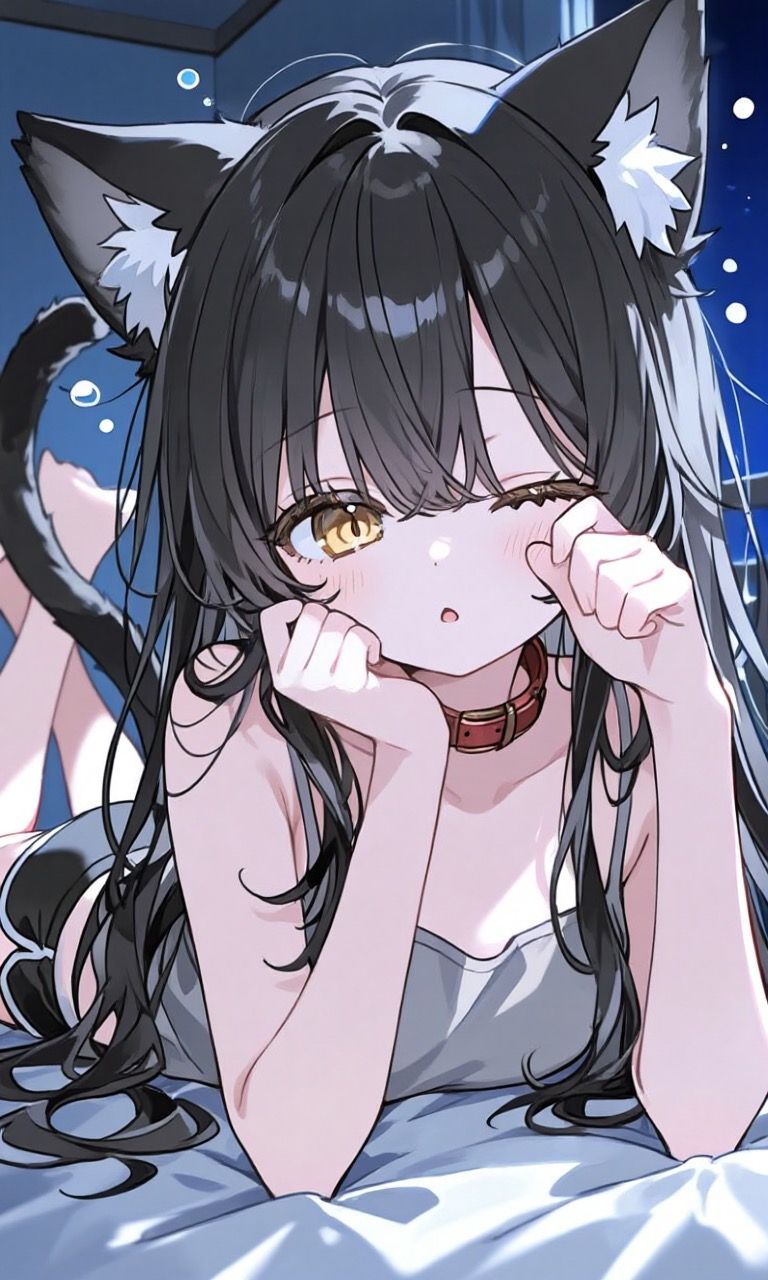 第4話　猫の境界と人の熱