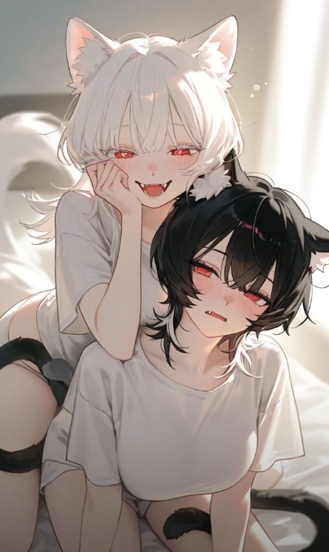 シロとクロ